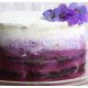 Blue Berry Cake